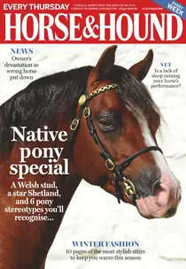 19th October 2017 
                issue 19th October 2017