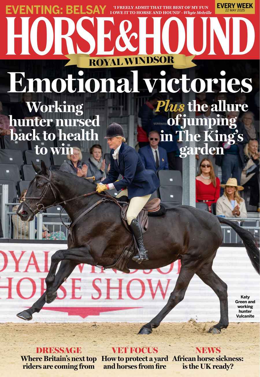 HORSE AND HOUND