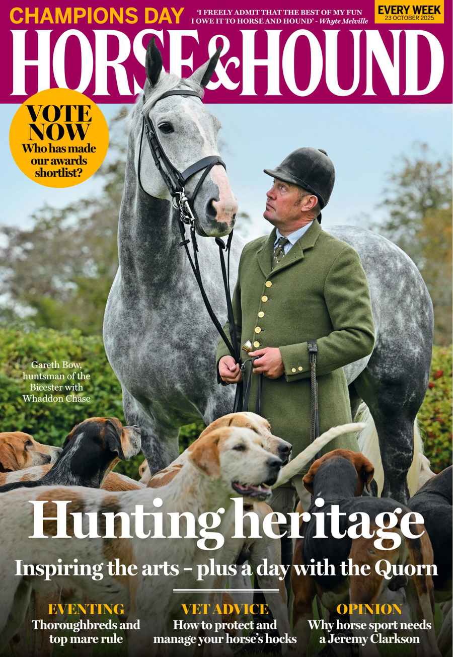 HORSE AND HOUND