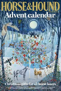 Complete Your Collection Cover 1