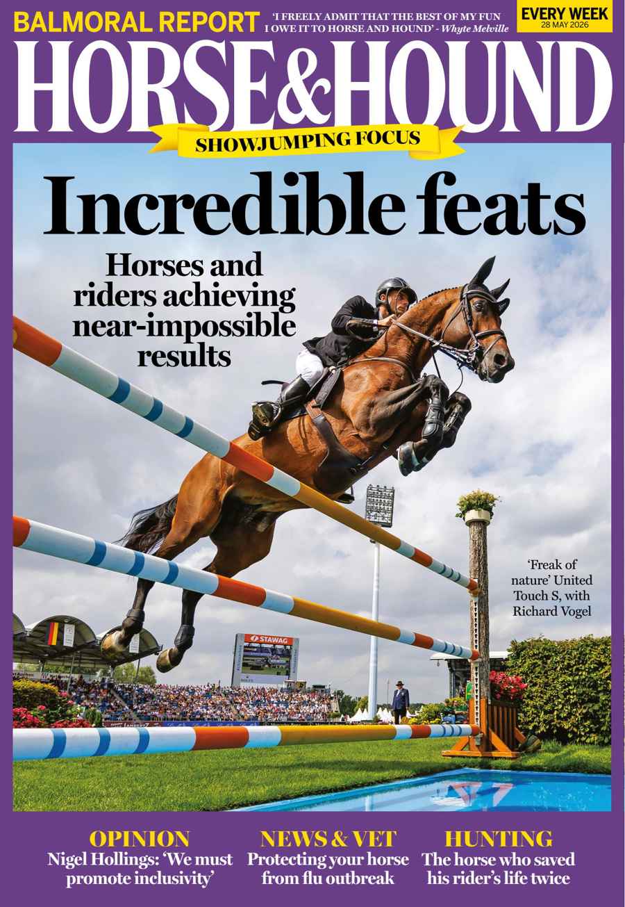 HORSE AND HOUND