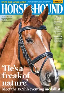 28-Oct-2021 
                issue 28-Oct-2021