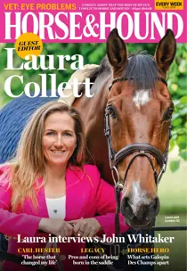 Complete Your Collection Cover 3