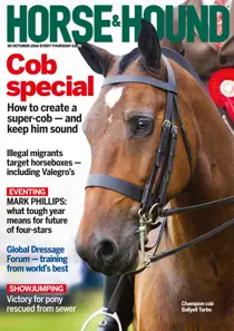 30th October 2014 
                issue 30th October 2014