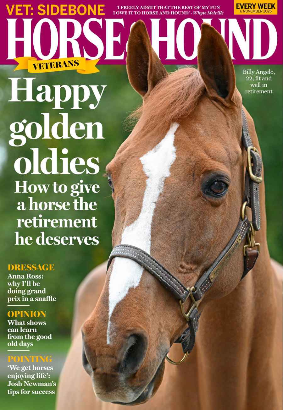 Horse & Hound issue 6 Nov 2025