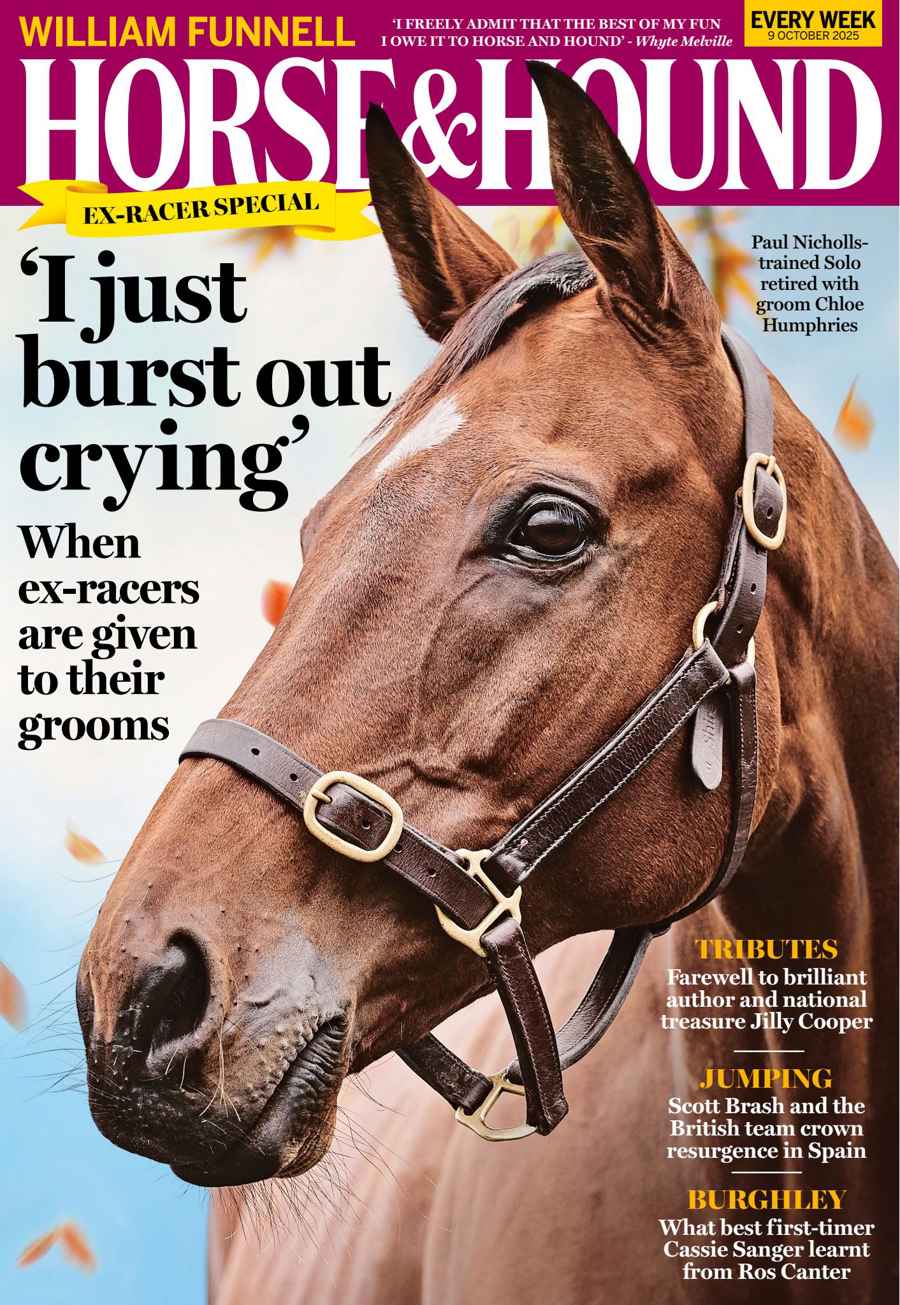 HORSE AND HOUND