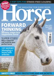 Horse April 2017