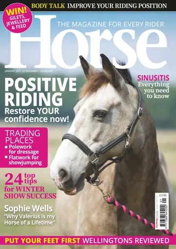 Horse Preview