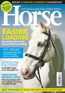 Horse July 2017