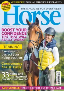 March 2015 
                issue March 2015