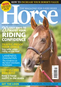 Horse October 2017