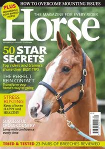 Horse September 2017