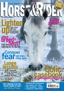 December 2010 
                issue December 2010