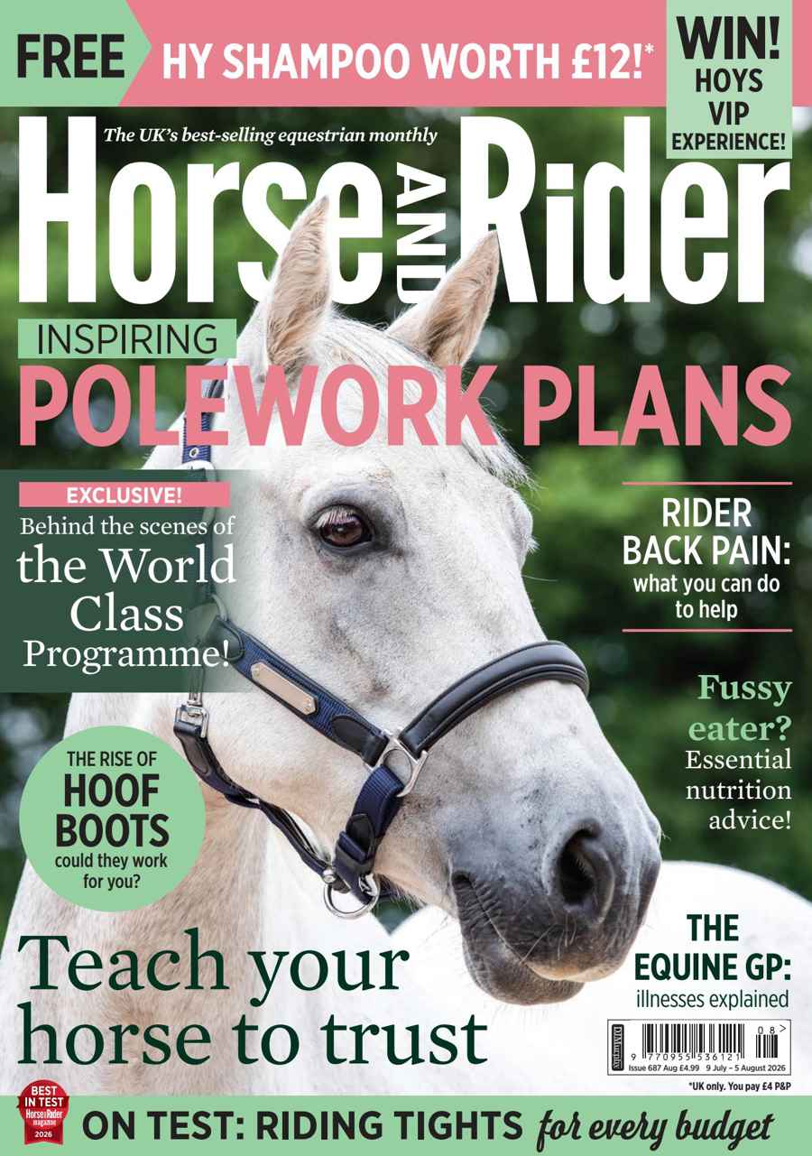 HORSE AND RIDER