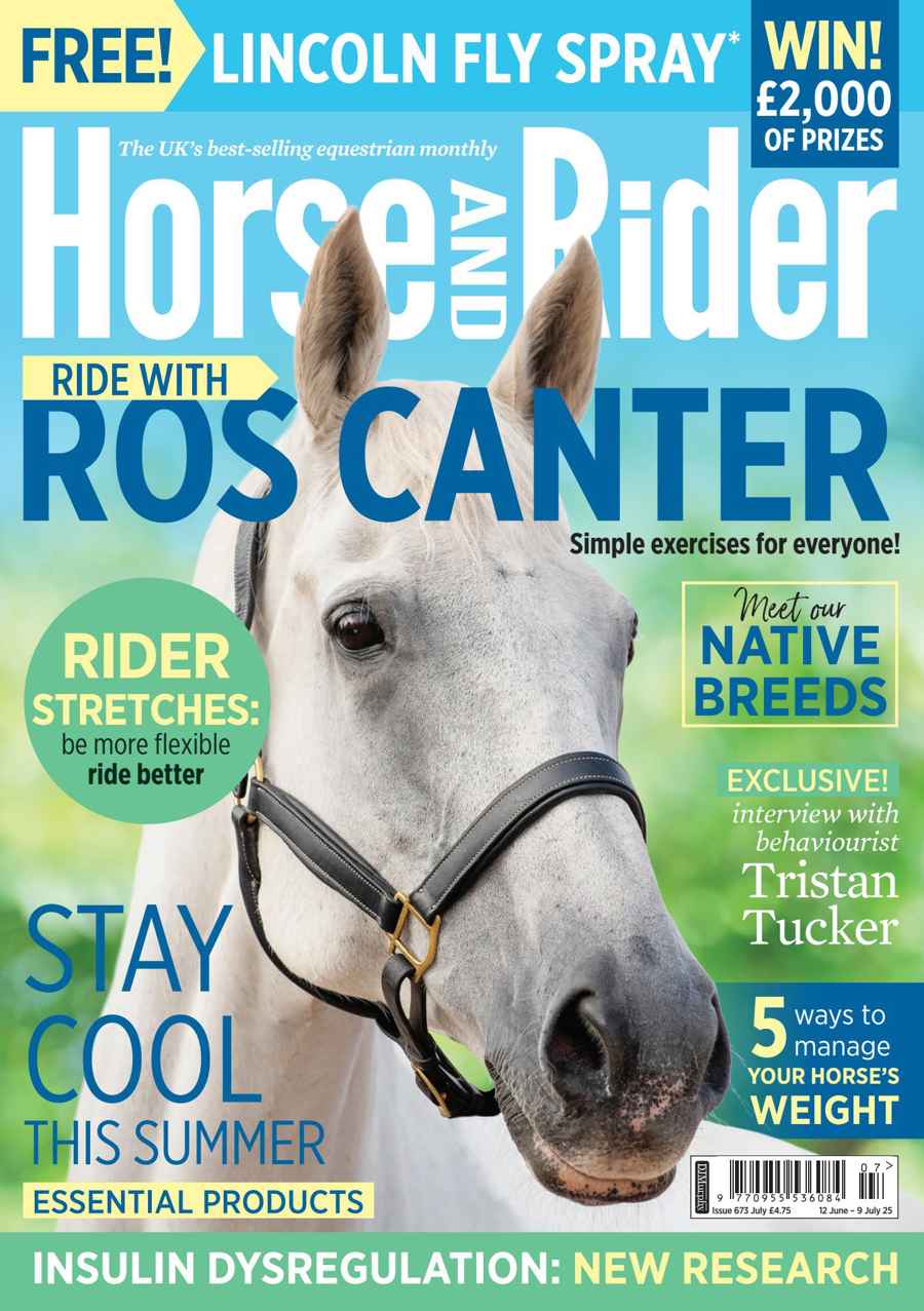 HORSE AND RIDER