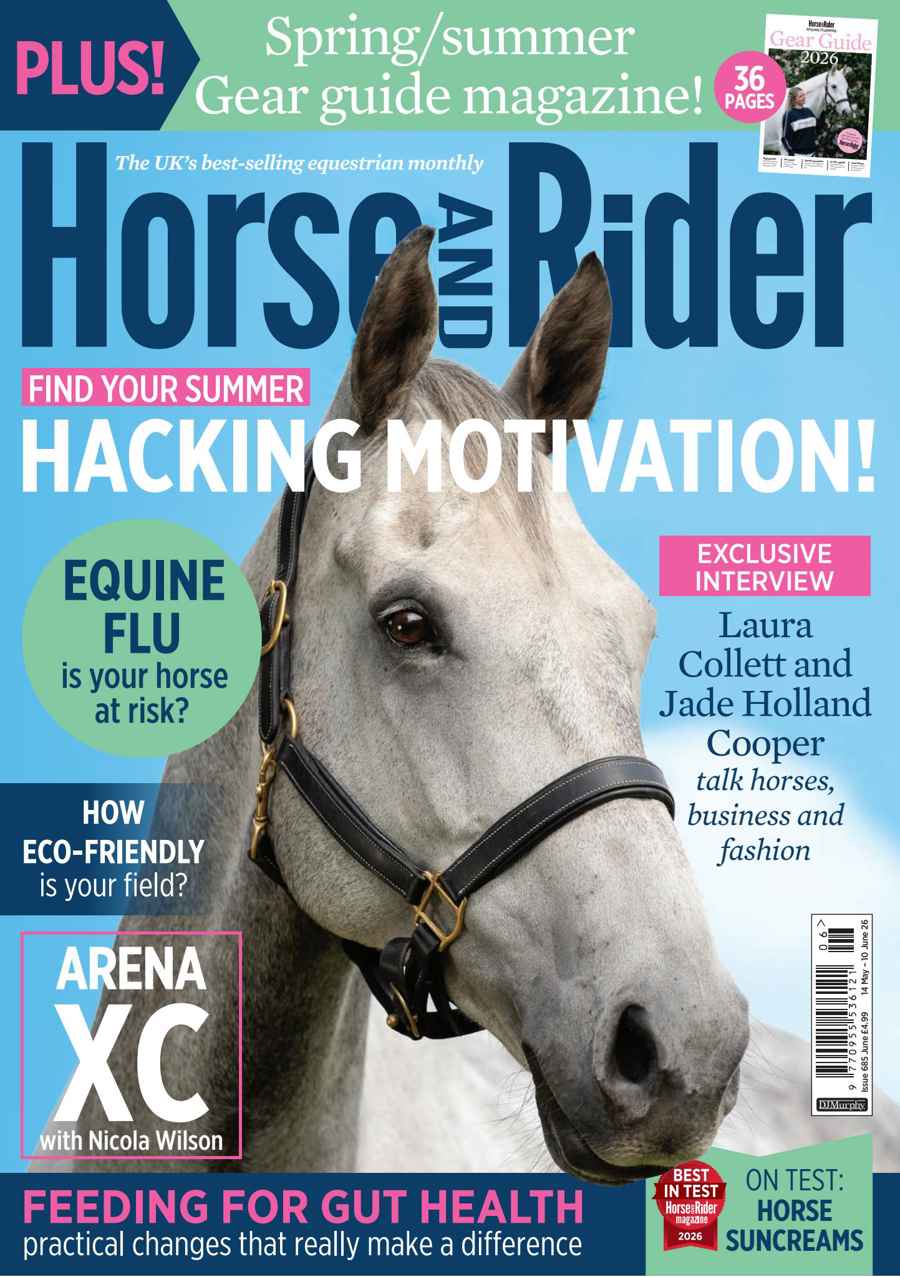 HORSE AND RIDER