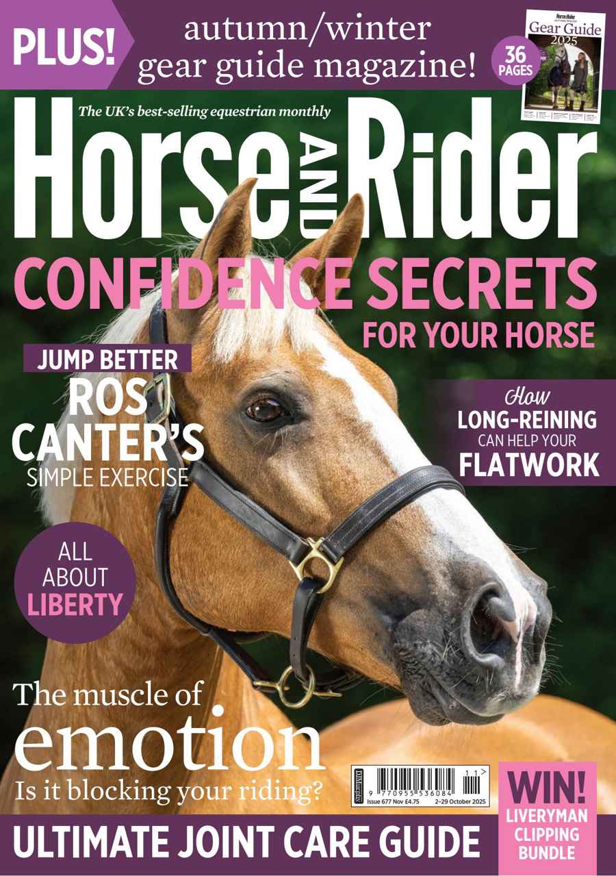 HORSE AND RIDER