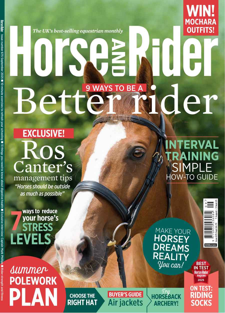 HORSE AND RIDER