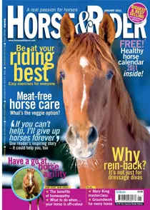 January 2011 
                issue January 2011