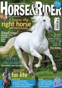 May 2013 
                issue May 2013