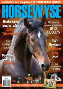 Autumn 2013 
                issue Autumn 2013