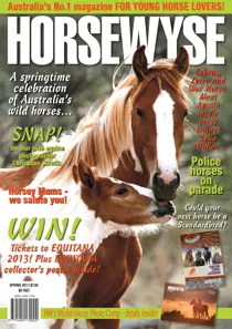 Spring 2013 
                issue Spring 2013