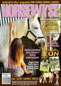 Summer 15 
                issue Summer 15