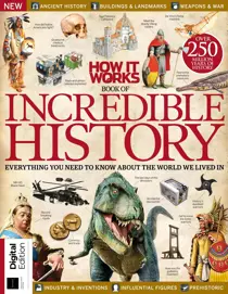Book Of Incredible History 21st Ed. 
                issue Book Of Incredible History 21st Ed.