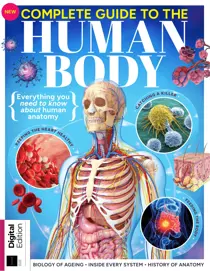 Complete Guide To The Human Body Second Edition 
                issue Complete Guide To The Human Body Second Edition