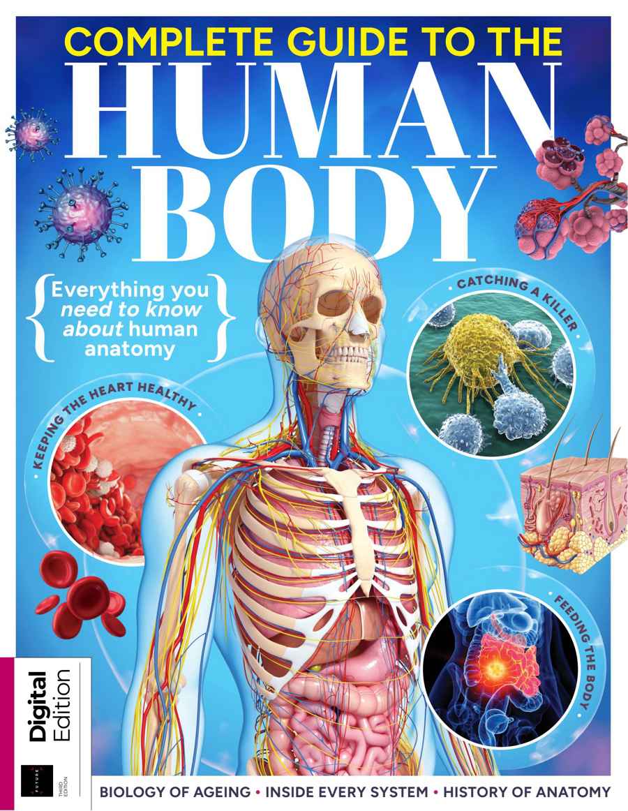 How It Works Bookazine issue Complete Guide To The Human Body Th