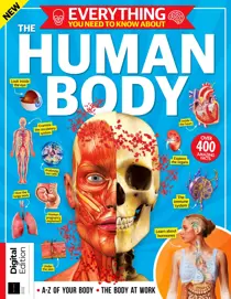 Everything You Need To Know About The Human Body Second Edition 
                issue Everything You Need To Know About The Human Body Second Edition