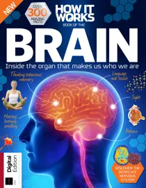 How It Works: Book Of The Brain 7th Ed 
                issue How It Works: Book Of The Brain 7th Ed