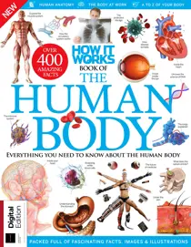  How It Works: Book Of The Human Body Nineteenth Edition 
                issue  How It Works: Book Of The Human Body Nineteenth Edition