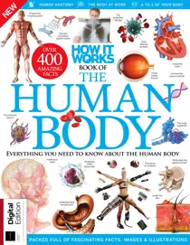 How It Works: Book Of The Human Body Twentieth Edition 
                issue How It Works: Book Of The Human Body Twentieth Edition