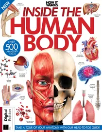 How It Works: Inside The Human Body Tenth Edition 
                issue How It Works: Inside The Human Body Tenth Edition