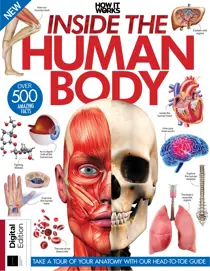 How It Works Bookazine How It Works: Inside The Human Body Thirteenth Edition