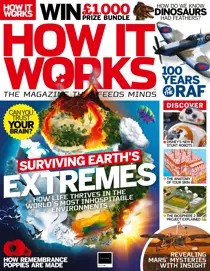 Issue 118 
                issue Issue 118