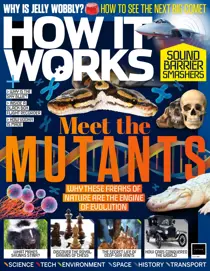 Issue 167 
                issue Issue 167