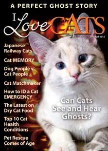 Fall 2013 
                issue Fall 2013