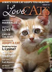February 2017 
                issue February 2017