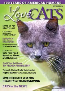September 2016 
                issue September 2016