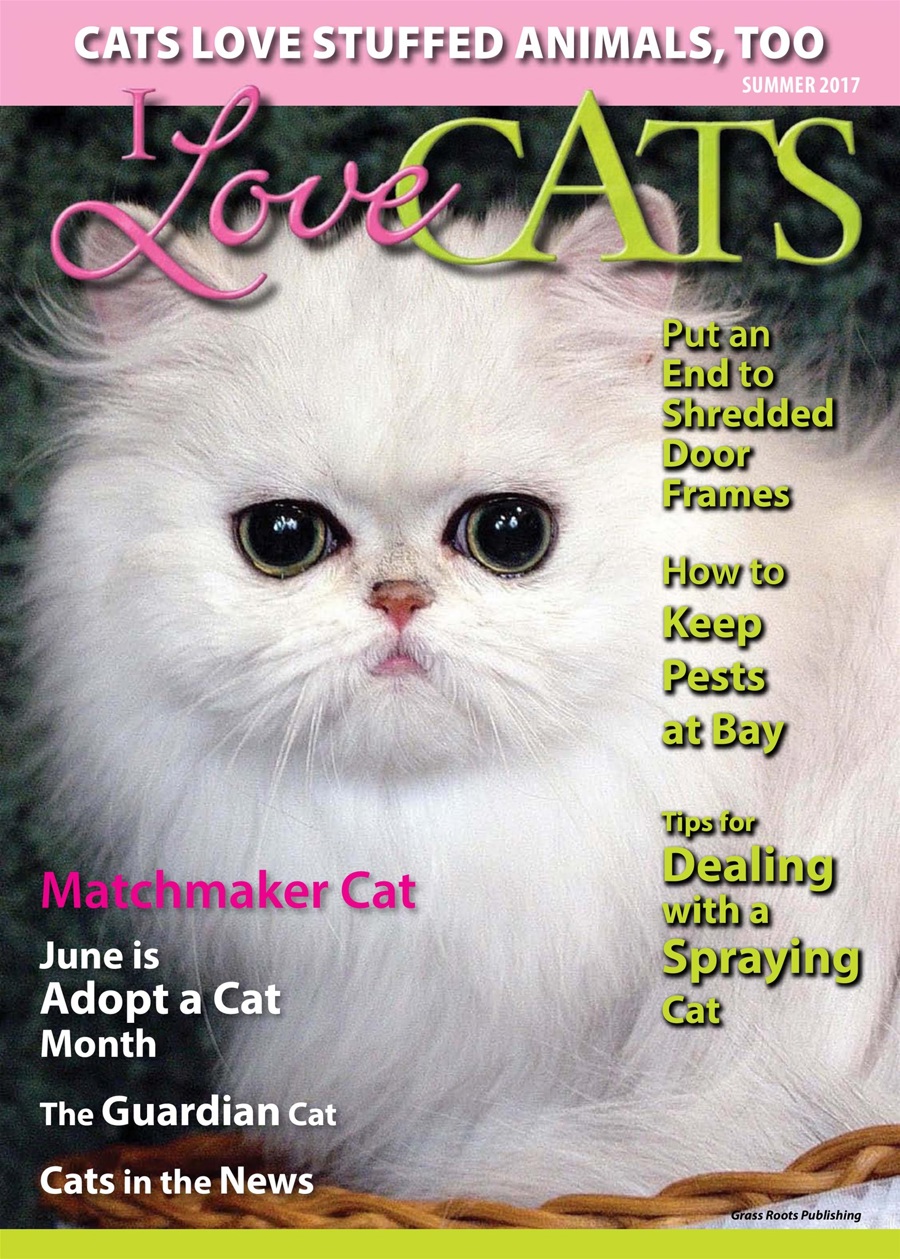 I Love Cats issue Summer 2017