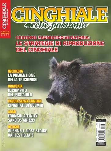 IL CINGHIALE CHE PASSIONE Preview