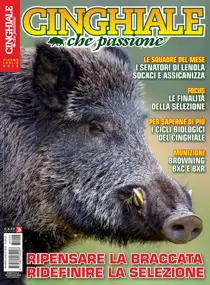 Giugno - Luglio 2018 
                issue Giugno - Luglio 2018