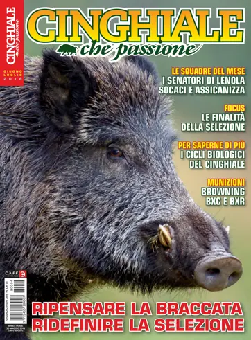 IL CINGHIALE CHE PASSIONE Preview