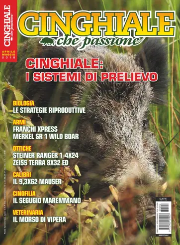 IL CINGHIALE CHE PASSIONE Preview