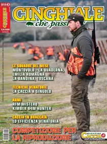 N. 3/2019 - Aprile/Maggio 
                issue N. 3/2019 - Aprile/Maggio