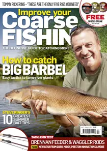 Issue 313 
                issue Issue 313