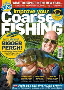 Issue 384 
                issue Issue 384