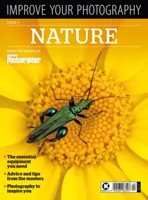 Issue 4 
                issue Issue 4